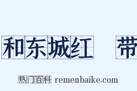 和东城红鞓带是什么意思的图片